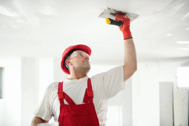 Best Mold Damage Restoration  in New Beaver, PA